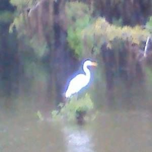 Meet your Posher, Ann